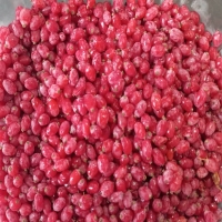 زرشک تازه 1 کیلوگرمی